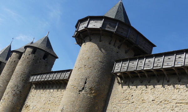 2-4 CARCASSONNE La citadelle