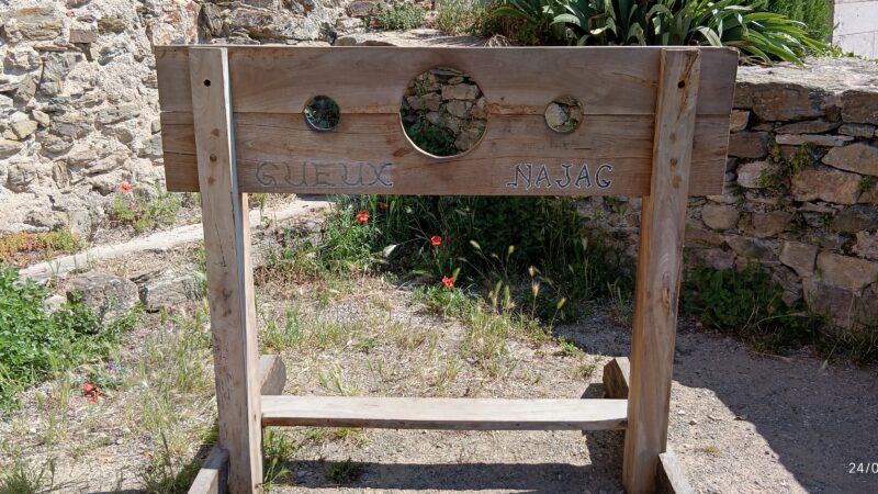 IMG_20260524_110622