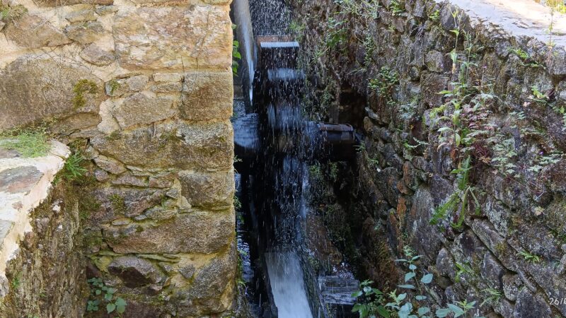 IMG_20260526_111225