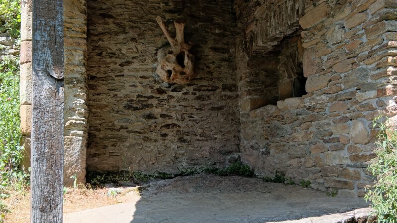 IMG_20260526_153647