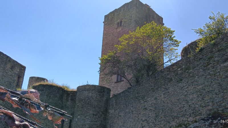 IMG_20260526_161245